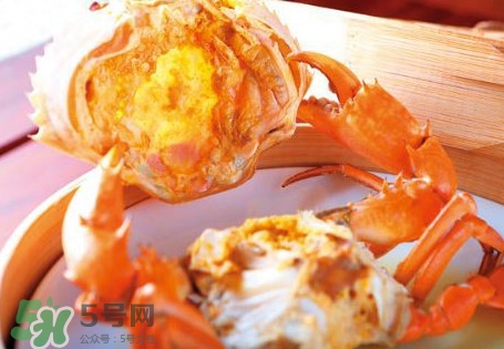 黃油蟹是什么蟹？黃油蟹多少錢一只
