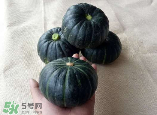 貝貝南瓜是哪里的？貝貝南瓜哪里產(chǎn)的