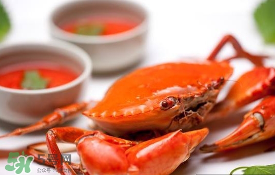 黃油蟹是海蟹嗎？黃油蟹是如何進(jìn)化的