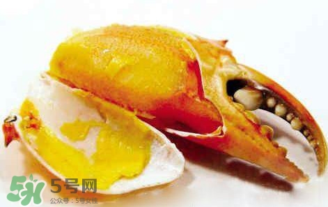 黃油蟹放冰箱能放多久？黃油蟹怎么挑選