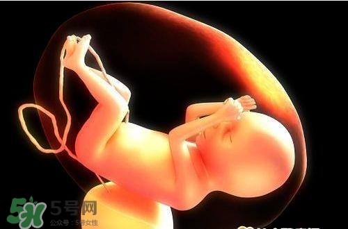 臍帶血有必要保存嗎？臍帶血有什么用？