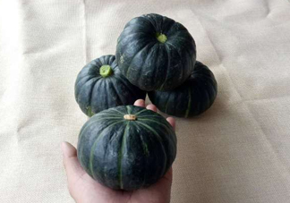 貝貝南瓜是哪里的？貝貝南瓜哪里產(chǎn)的