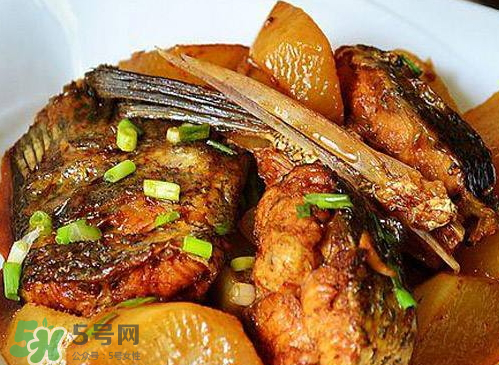 鱸魚可以紅燒嗎？鱸魚清蒸還是紅燒好吃？