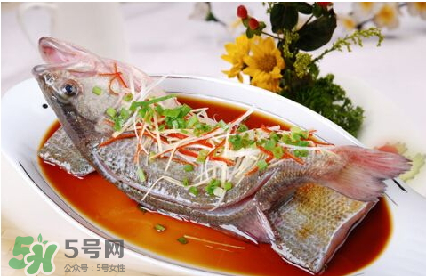 鱸魚為什么沒有刺？鱸魚為什么刺少？