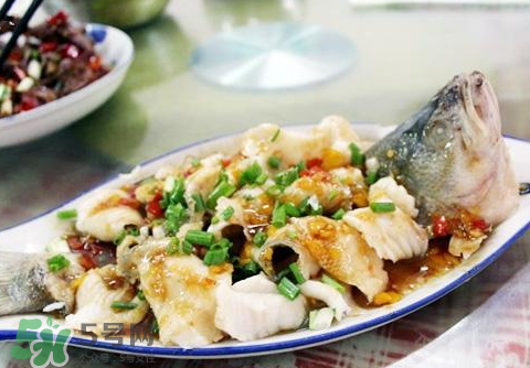 鱸魚為什么沒有刺？鱸魚為什么刺少？