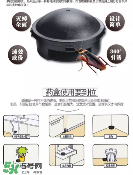 日本蟑螂藥好用嗎？日本蟑螂藥效果評(píng)測(cè)