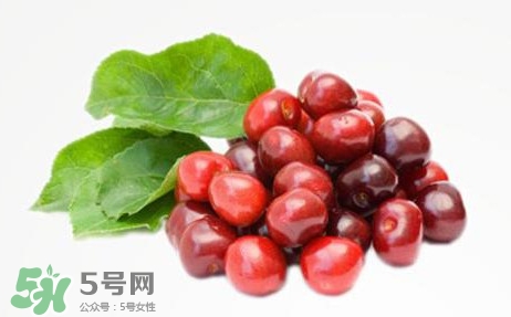 蔓越莓什么時(shí)候成熟？蔓越莓什么時(shí)候吃最好