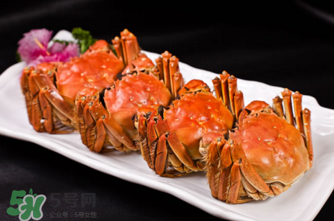 螃蟹冷凍還是冷藏保存？螃蟹冷凍保存多久？