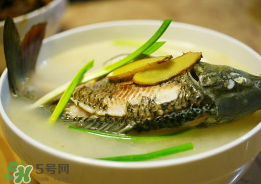 鯉魚湯怎么做好吃？鯉魚湯里面可以放什么？