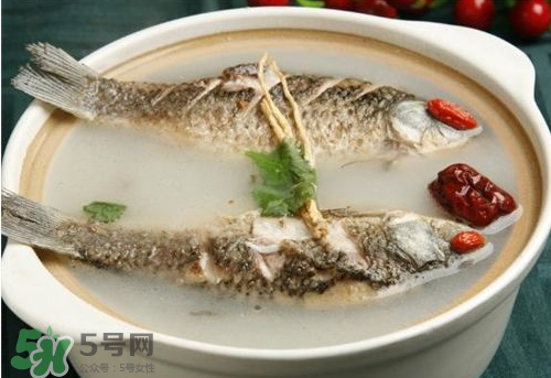 鯽魚湯下奶嗎？鯽魚湯的功效與作用
