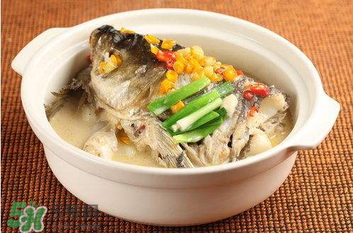 青魚湯怎么做好吃？青魚湯的功效與作用