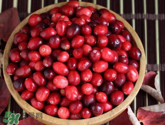 蔓越莓什么時(shí)候成熟？蔓越莓什么時(shí)候吃最好