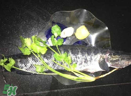 黑魚湯對(duì)傷口有好處嗎？黑魚湯的做法術(shù)后恢復(fù)