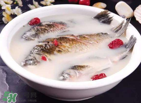 鯽魚湯里可以放什么菜最好？鯽魚燉湯放什么菜？