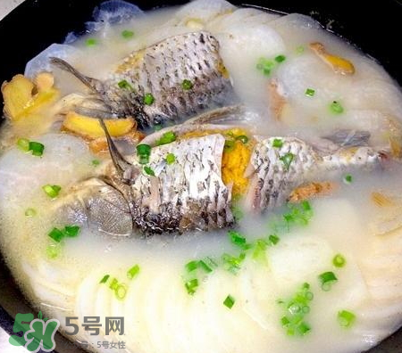 鯽魚湯可以放牛奶嗎？牛奶鯽魚湯的做法