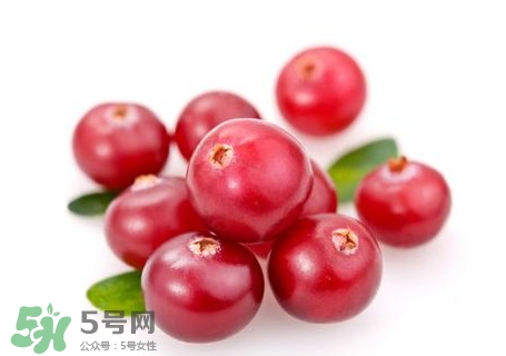 蔓越莓在中國有嗎？蔓越莓怎么辨別真假