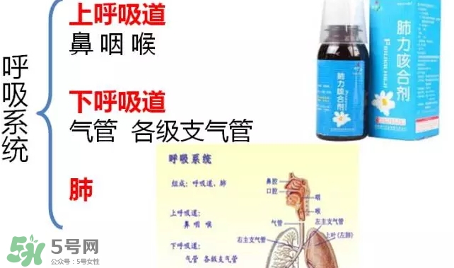 肺力咳合劑多少錢一瓶？