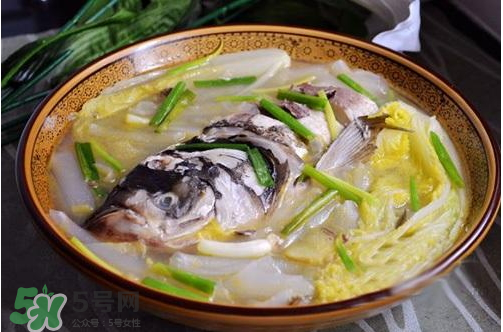 鰱魚湯怎么熬湯？鰱魚湯的功效與作用