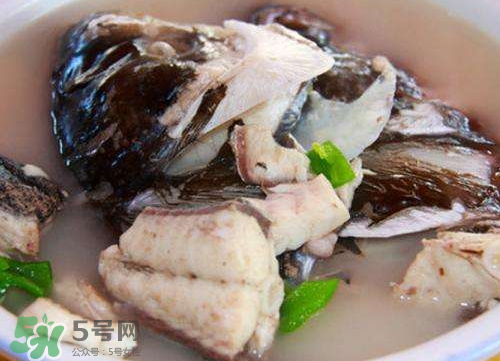 鰱魚湯怎么熬湯？鰱魚湯的功效與作用