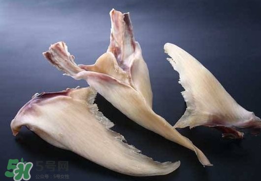 干魚翅怎么保存？魚翅可以放多久？