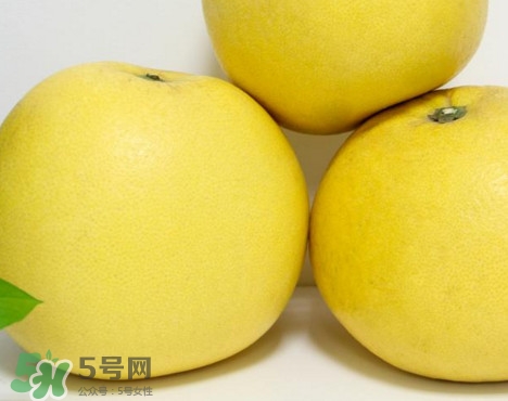 蜜柚是哪個(gè)季節(jié)的水果？蜜柚和沙田柚的區(qū)別是什么？