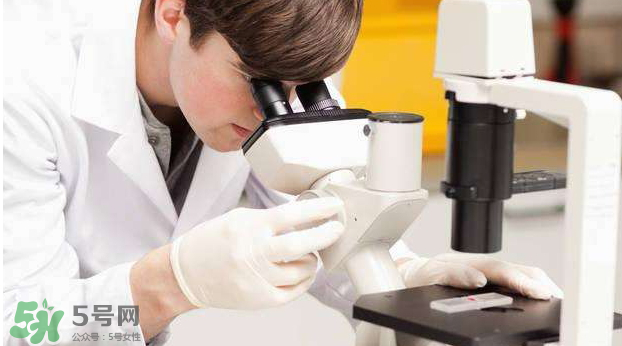 素浴口紅怎么樣？素浴口紅是什么牌子？