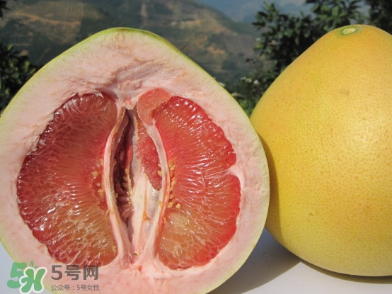 紅心蜜柚是不是轉(zhuǎn)基因？蜜柚是哪個(gè)地方的特產(chǎn)