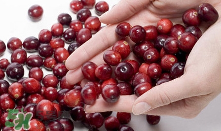 蔓越莓干熱量高嗎？蔓越莓干和新鮮蔓越莓營(yíng)養(yǎng)價(jià)值的區(qū)別