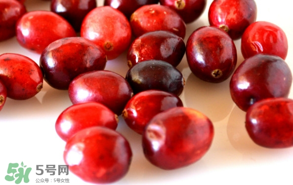 蔓越莓什么時(shí)候成熟？蔓越莓什么時(shí)候吃最好