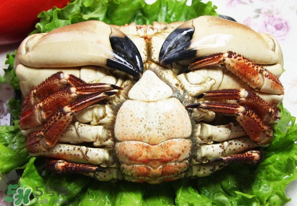 凍螃蟹蒸之前需要解凍嗎？凍螃蟹蒸多長時間？