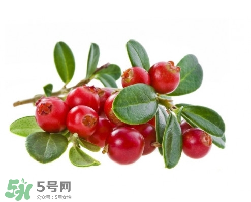 蔓越莓在中國有嗎？蔓越莓怎么辨別真假