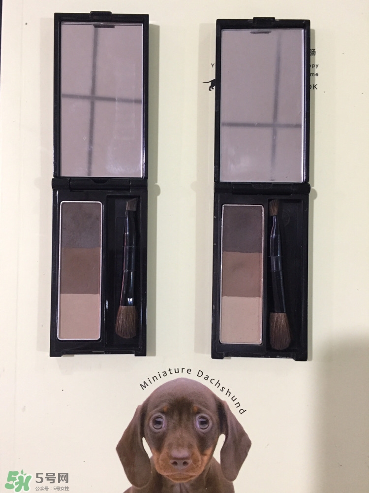 kate眉粉真假對比圖 kate眉粉真假怎么看？