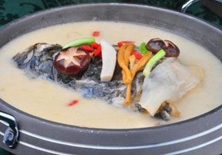 鰱魚(yú)湯怎么熬湯？鰱魚(yú)湯的功效與作用