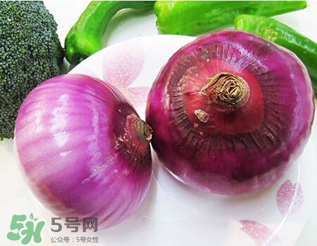 洋蔥狗狗能吃嗎？狗狗吃了洋蔥怎么辦？