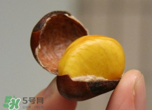 板栗用冷水還是熱水煮？煮板栗用冷水還是熱水？