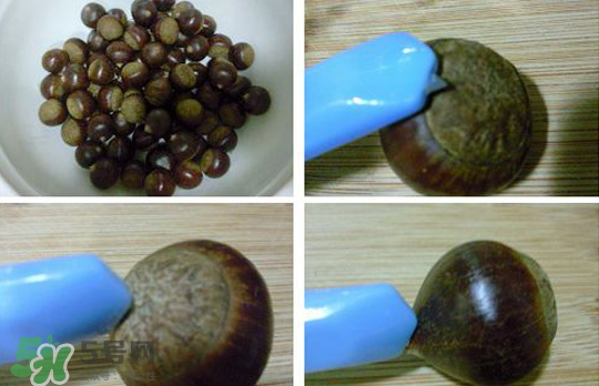 煮板栗要切口嗎？煮板栗怎么切口？