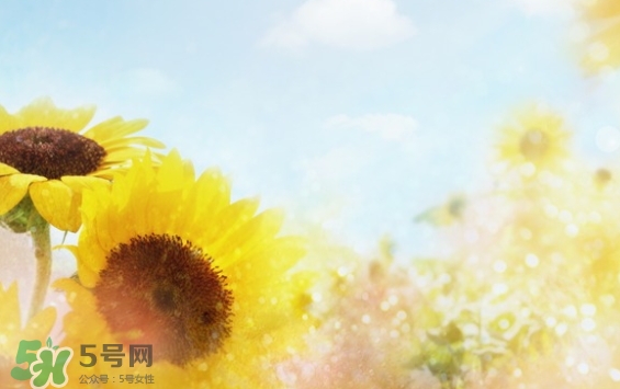 見(jiàn)封滾是什么意思？