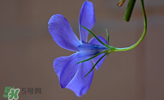 見(jiàn)封滾是什么意思？