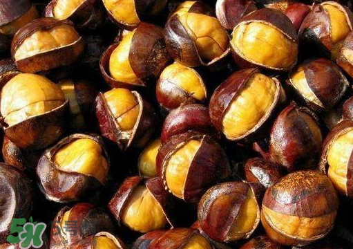 板栗蒸多久才熟？蒸板栗怎么好剝皮？