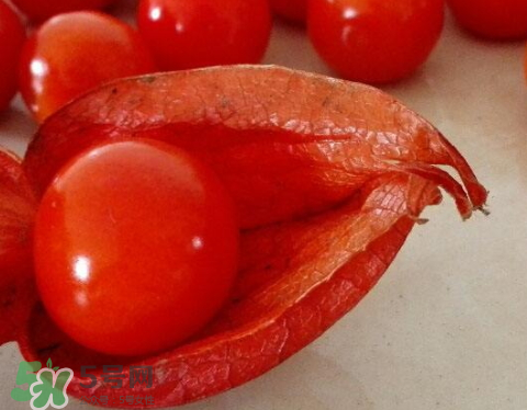 紅姑娘皮泡水治咽炎嗎？紅姑娘皮泡水的副作用