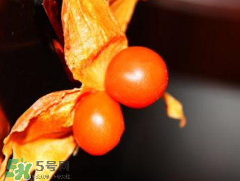 紅姑娘皮泡水治咽炎嗎？紅姑娘皮泡水的副作用