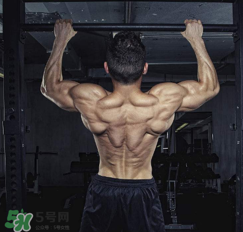 引體向上背部怎么發(fā)力？引體向上發(fā)力技巧