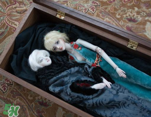 Enchanted Doll多少錢？Enchanted Doll哪里買？