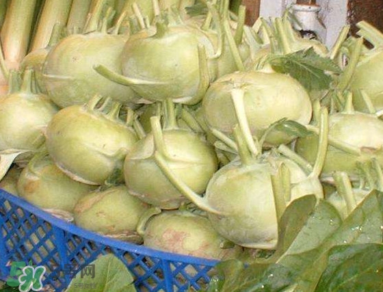 苤藍(lán)怎么腌制好吃？苤藍(lán)有什么營養(yǎng)