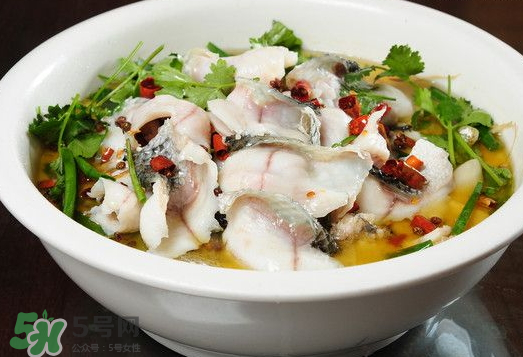 水煮魚可以放什么蔬菜？水煮魚可以放香菇嗎？