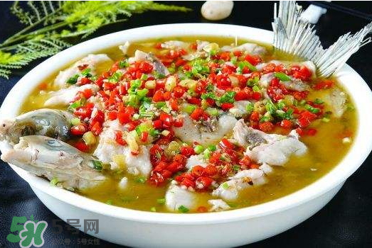 水煮魚可以放什么蔬菜？水煮魚可以放香菇嗎？