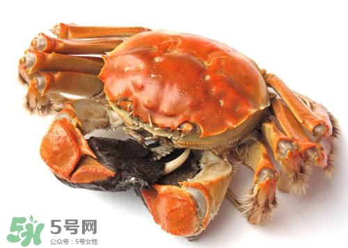 螃蟹里面有寄生蟲嗎？螃蟹有寄生蟲還可以吃嗎？