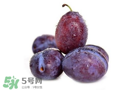 西梅可以放冰箱嗎？西梅放冰箱冷藏還是冷凍？