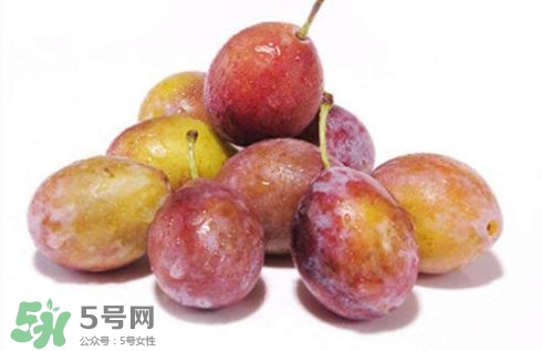 西梅可以放冰箱嗎？西梅放冰箱冷藏還是冷凍？