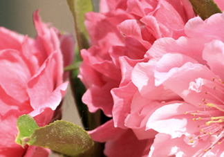 見封滾是什么意思？